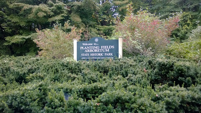 Planting Fields Arboretum