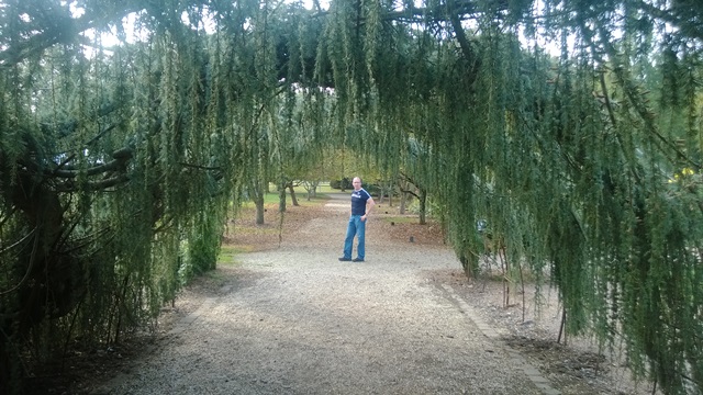 Planting Fields Arboretum Cypress Arch